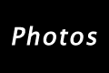 Rex Photos